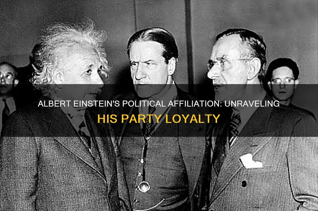 what political party did albert einstein belong to