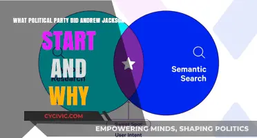 Andrew Jackson's Democratic Party: Origins and Motivations Explained