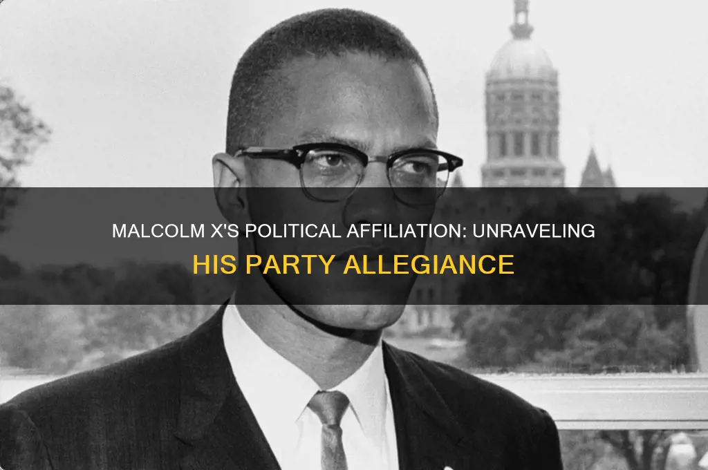 what political party did malcolm x belong to
