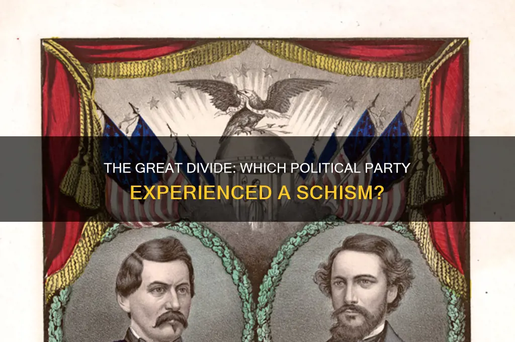 what political party did schism occur