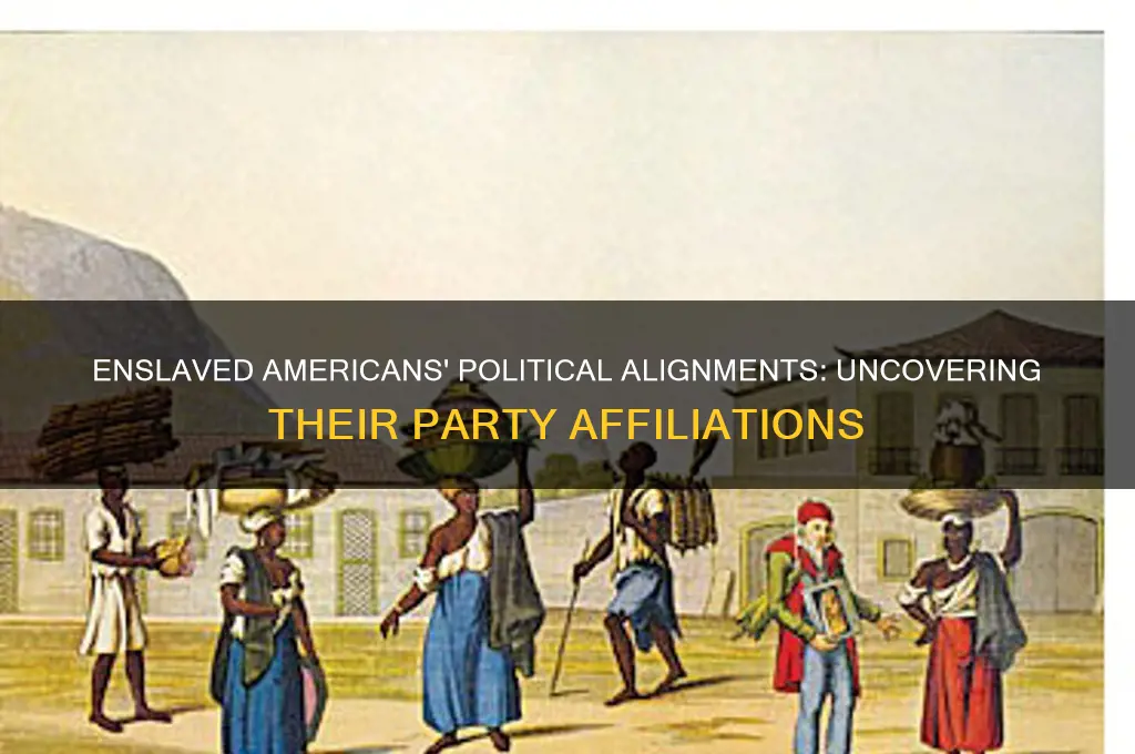 what political party did slaves associate with