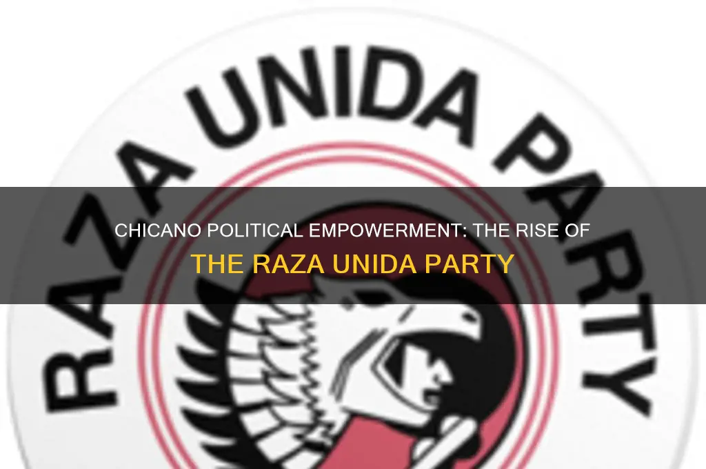 what political party did the chicanos form