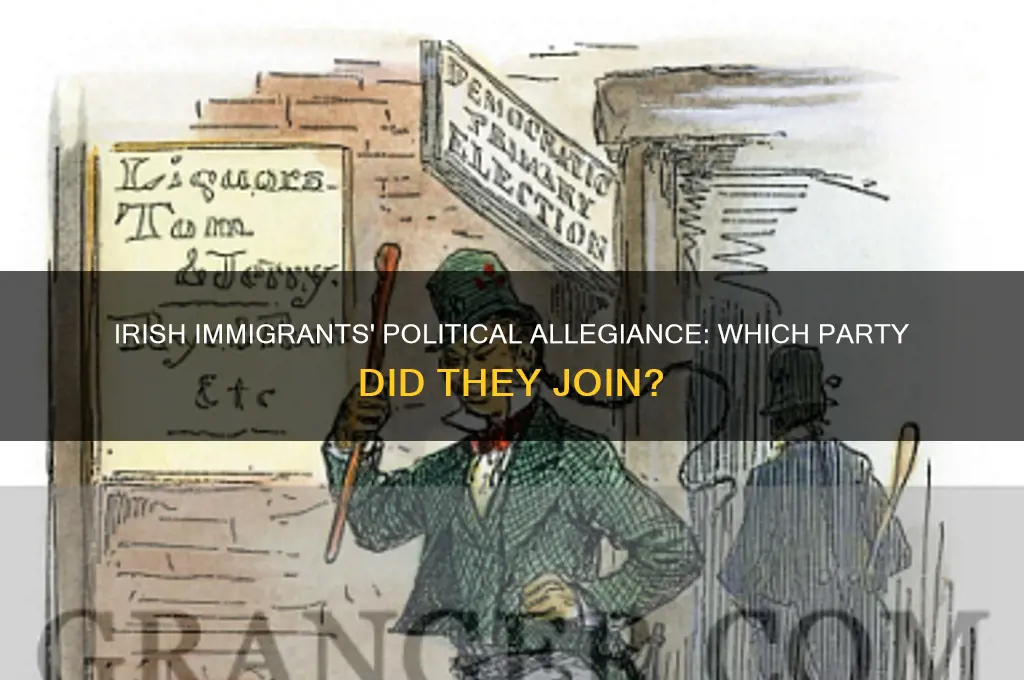 what political party did the irish immigrants join