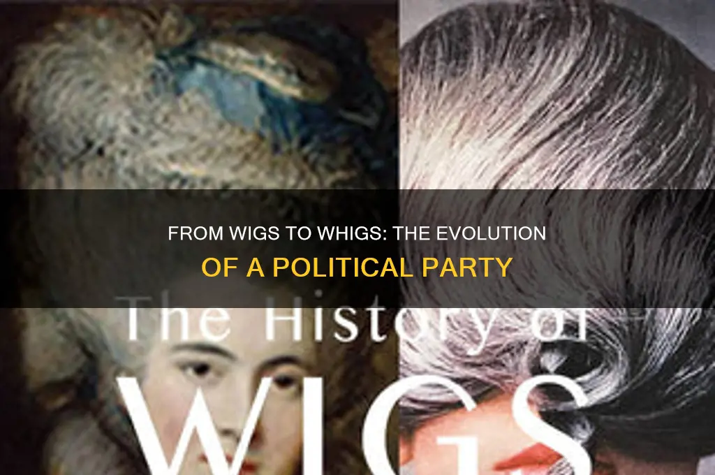 what political party did the wigs turn in to
