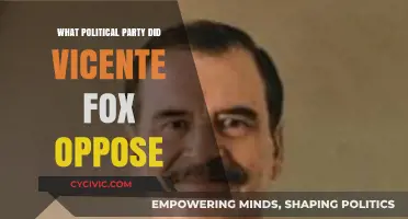 Vicente Fox's Political Rivalry: The Party He Stood Against