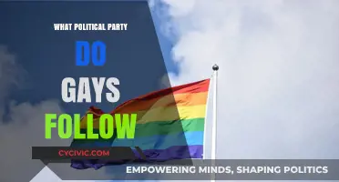 Exploring LGBTQ+ Political Affiliations: Beyond Stereotypes and Assumptions