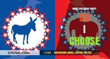 Navigating Political Choices: How to Decide Your Ideal Party Alignment