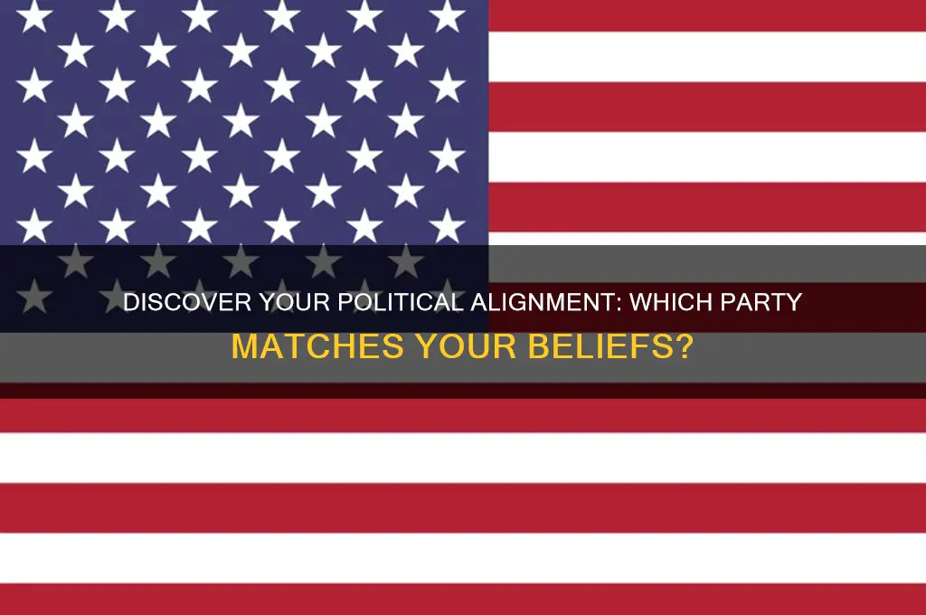 what political party do i side with