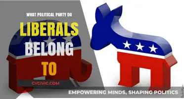 Understanding Liberals' Political Affiliation: Which Party Do They Align With?