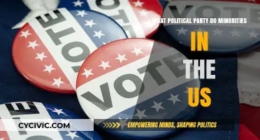Which Political Party Do Minorities in the US Support?