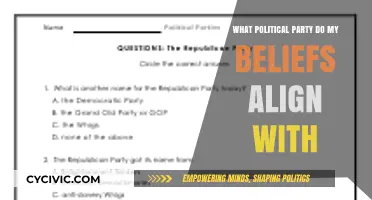 Discover Your Political Match: Aligning Beliefs with the Right Party
