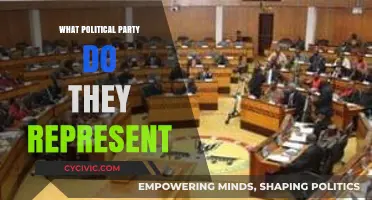 Unveiling Political Affiliations: Decoding Party Representation in Modern Politics