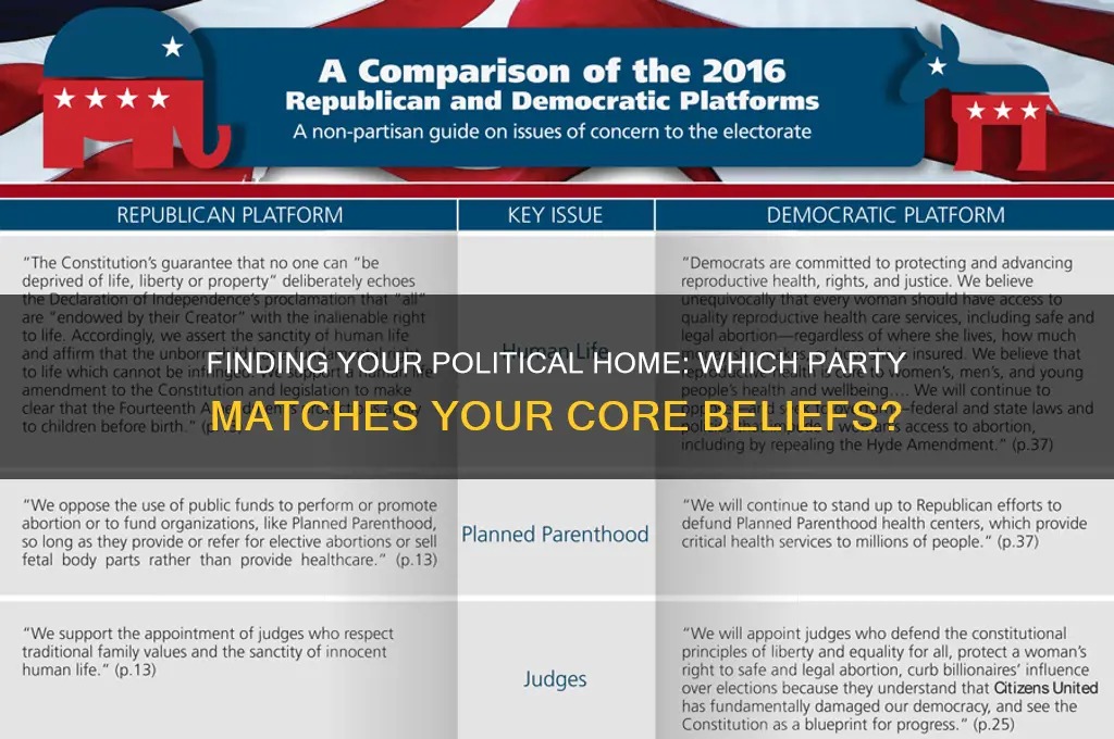 what political party do you most closely identify with