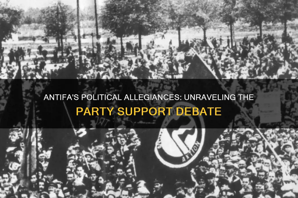 what political party does antifa support