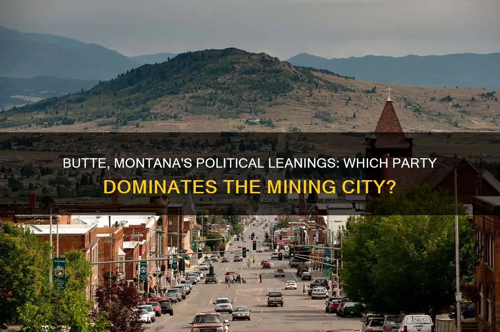 what political party does butte mt favor