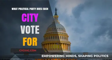 Urban Political Landscapes: Analyzing City Voting Patterns by Party Affiliation