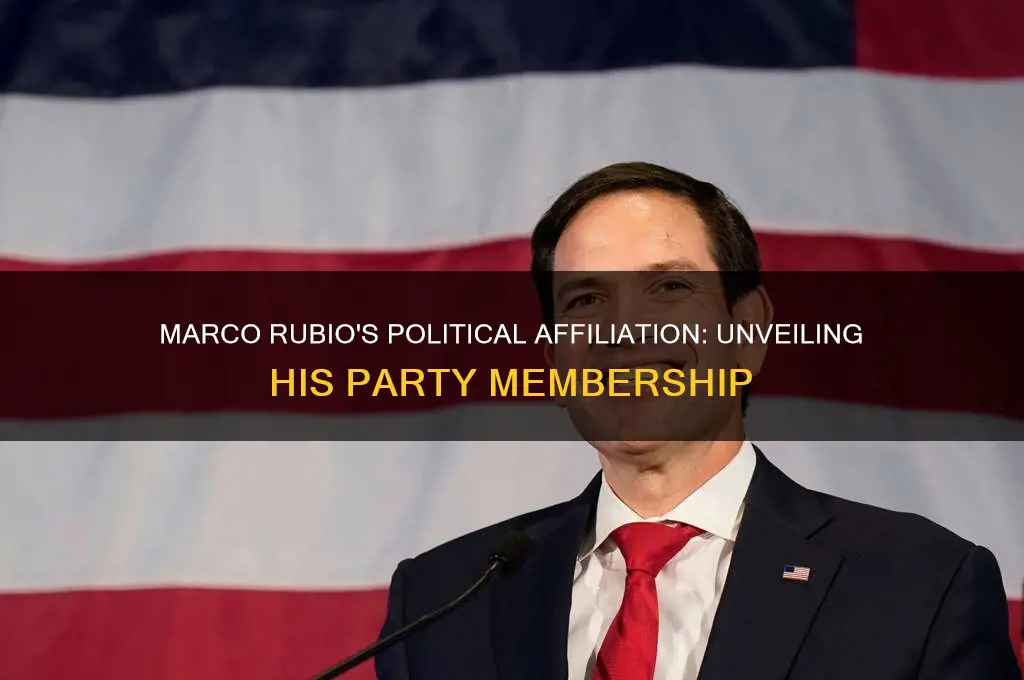 what political party does marco rubio belong to