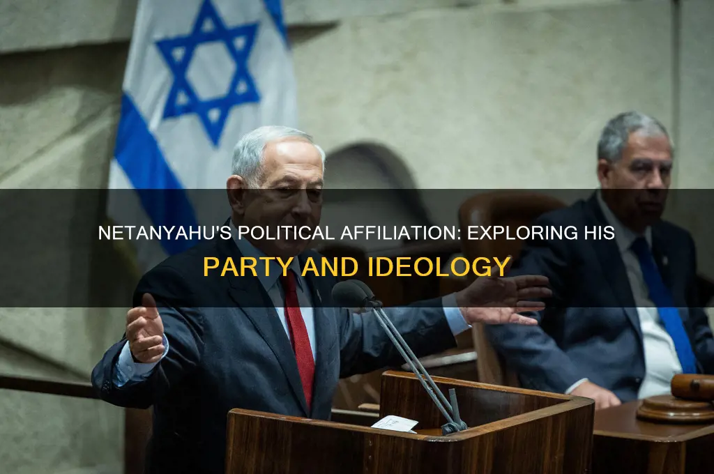 what political party does netanyahu belong to