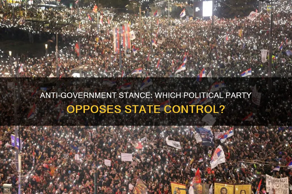 what political party does not like government