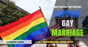 Which Political Parties Oppose Gay Marriage and Why?