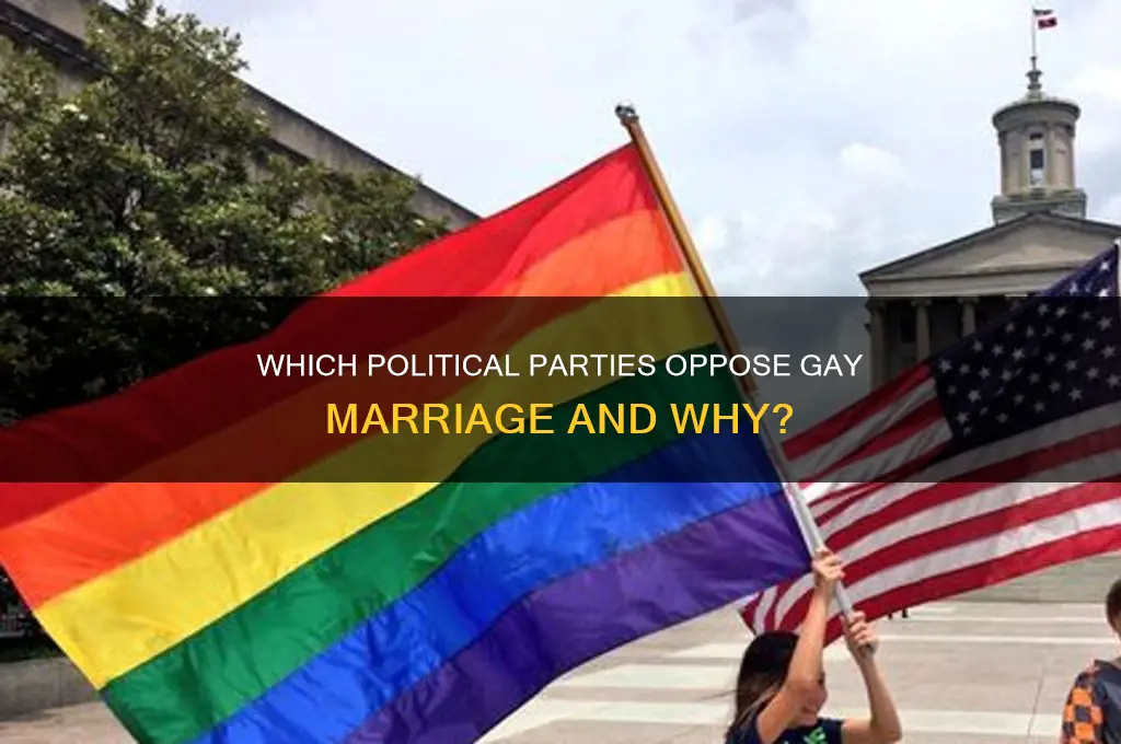 what political party does not support gay marriage
