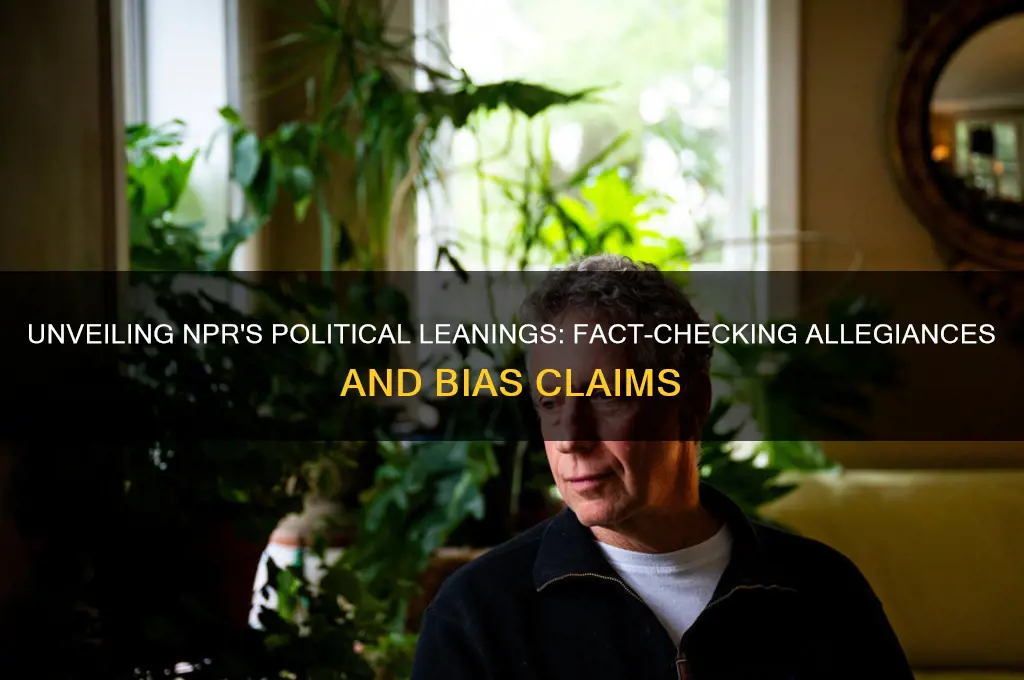 what political party does npr support