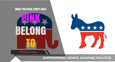Pink's Political Affiliation: Unraveling the Mystery Behind Her Party Loyalty