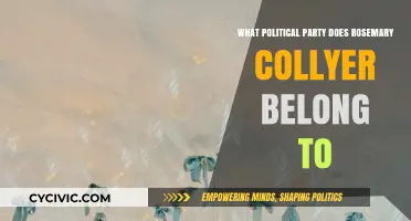 Rosemary Collyer's Political Affiliation: Uncovering Her Party Ties