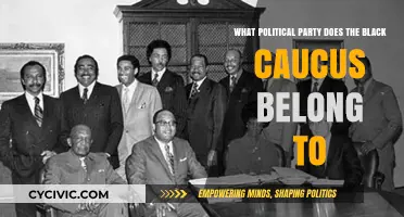 Understanding the Political Affiliation of the Black Caucus in Congress
