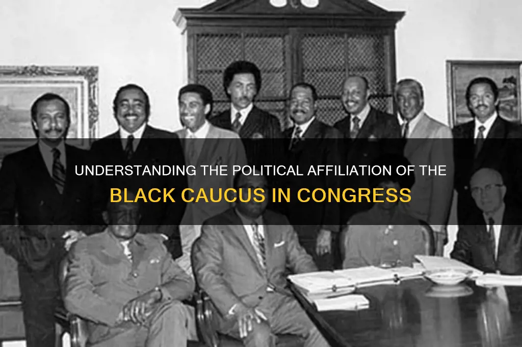 what political party does the black caucus belong to
