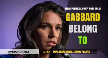 Tulsi Gabbard's Political Affiliation: Unraveling Her Party Membership