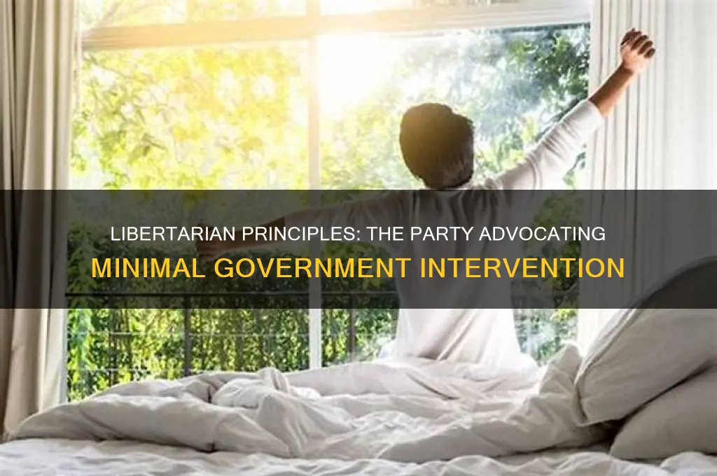 what political party doesnt want the government involved