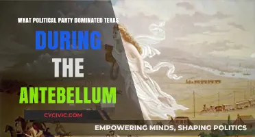 The Antebellum Texas Political Landscape: Which Party Held Dominance?