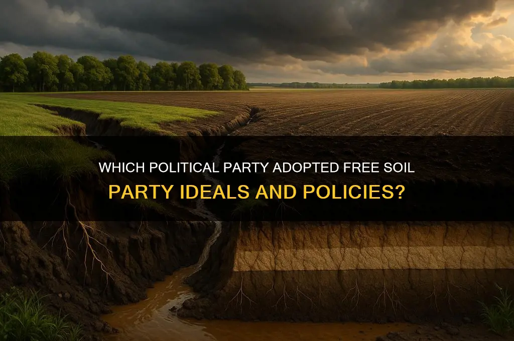 what political party embraced the free soil party