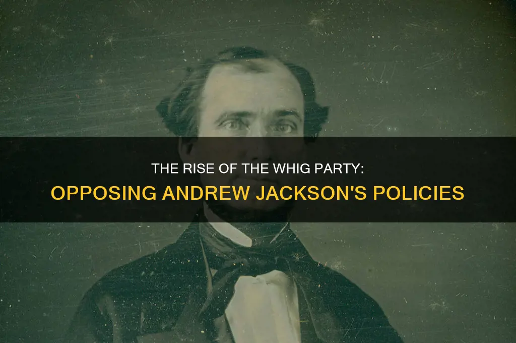 what political party emerged to oppose andrew jackson