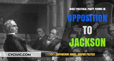 The Rise of the Whig Party: Opposing Jackson's Policies and Power
