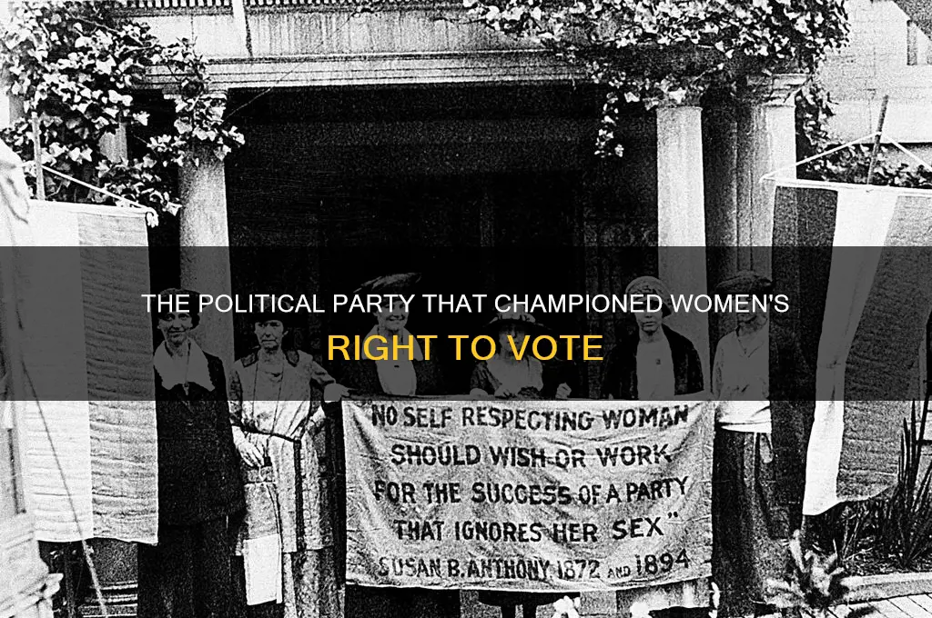 what political party fought for women