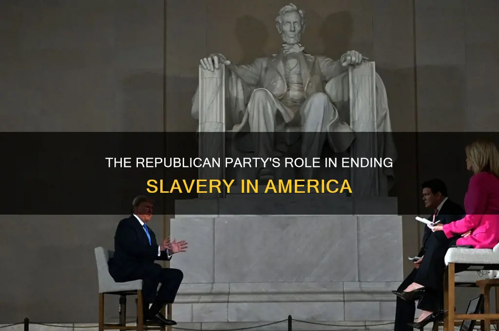 what political party freed slaves
