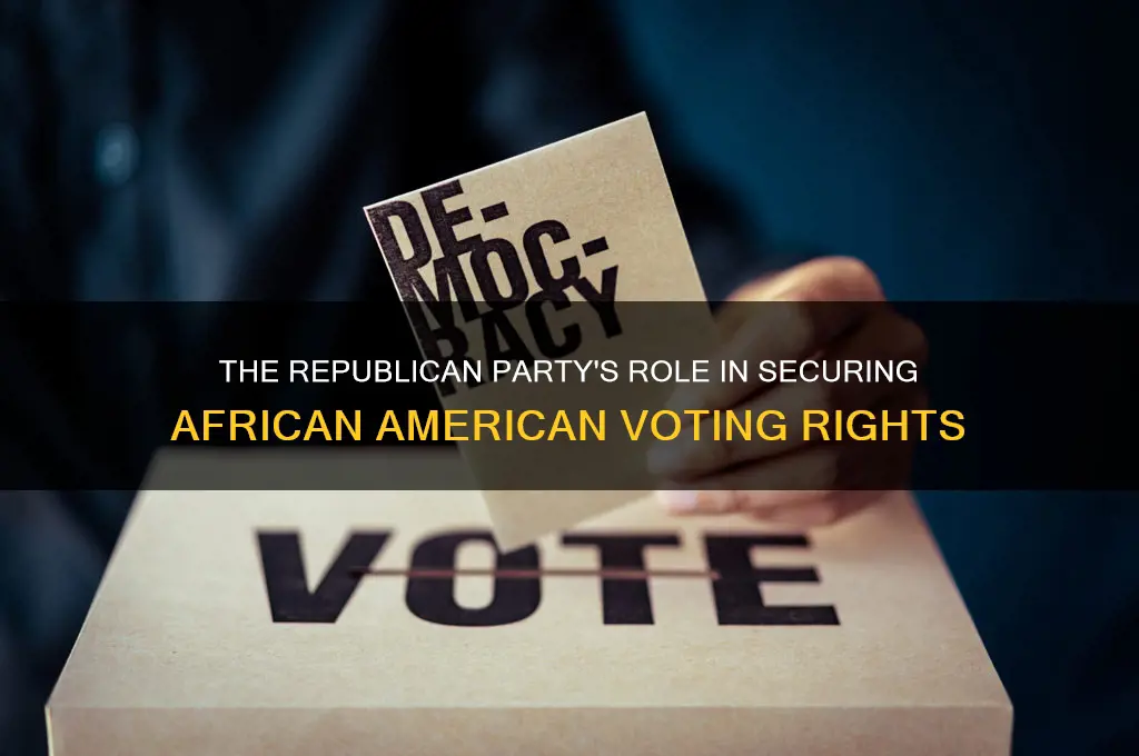 what political party gave african americans the right to vote