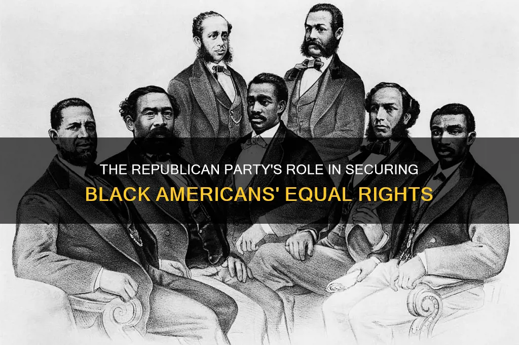 what political party gave black equal rights