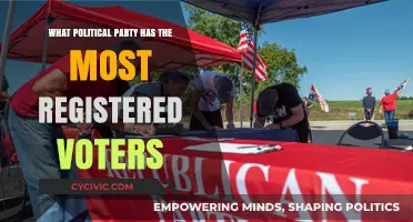 Which Political Party Dominates Voter Registration in the U.S.?