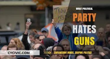 Which Political Party Advocates for Strictest Gun Control Measures?
