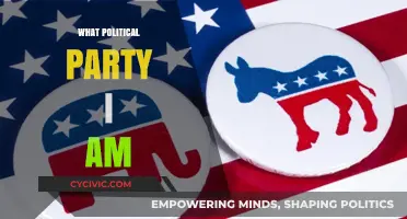Discovering My Political Identity: Which Party Aligns with My Values?