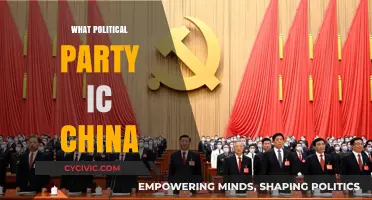Understanding China's Political Landscape: The Role of the Communist Party