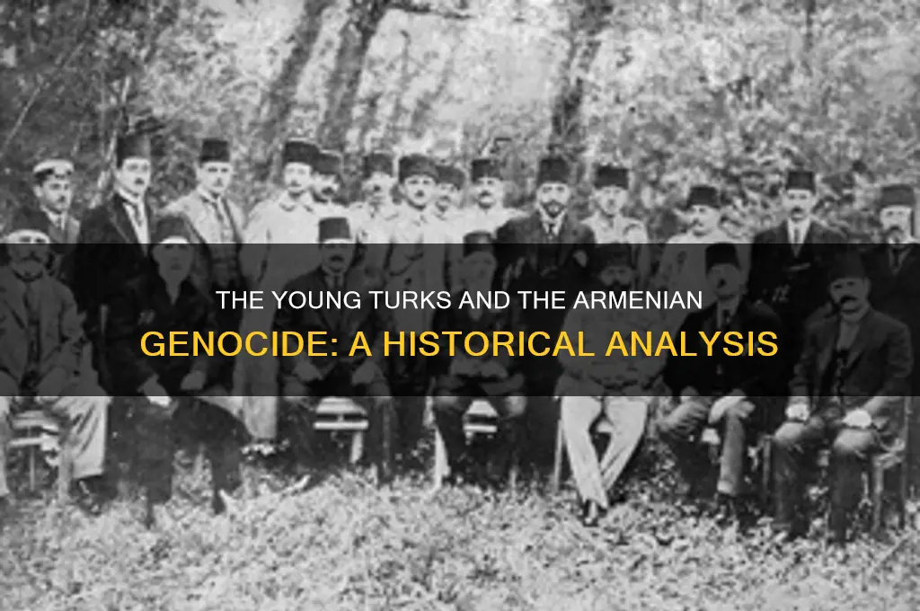 what political party implemented the armenian genocide