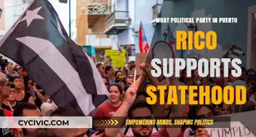 Which Puerto Rico Political Party Advocates for Statehood?