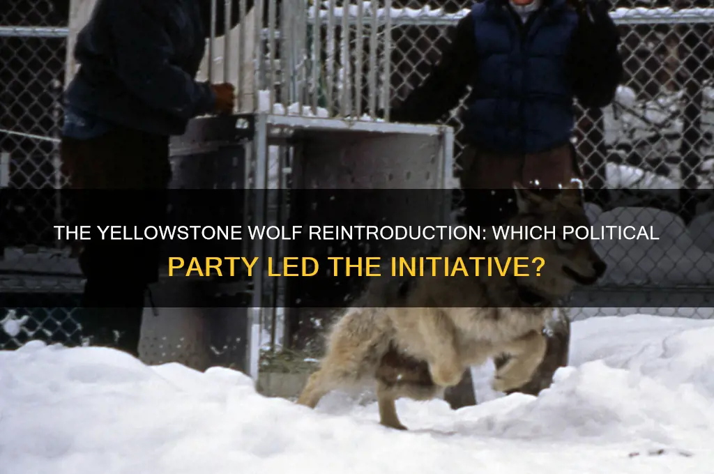 what political party introduced the wolf to yellowstone