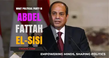 Abdel Fattah el-Sisi's Political Affiliation: Unraveling Egypt's Leadership