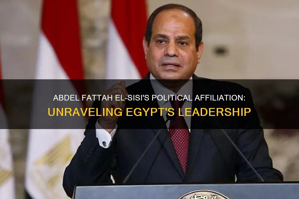 what political party is abdel fattah el-sisi