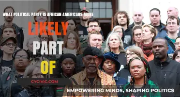 African Americans' Political Affiliation: Which Party Dominates Their Support?